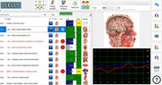QCELL3 - Quantum Cellular Bioenergetic Analysis