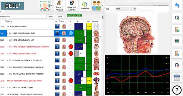 QCELL3 - Quantum Cellular Bioenergetic Analysis