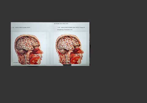 QCELL3 - Quantum Cellular Bioenergetic Analysis